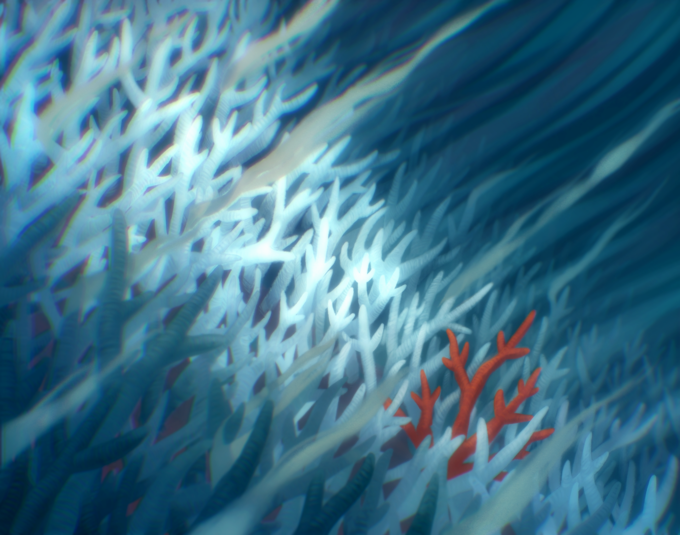 A field of pale, bleached corals is hung with streamers of pale algae. A single coral is colored bright red.
