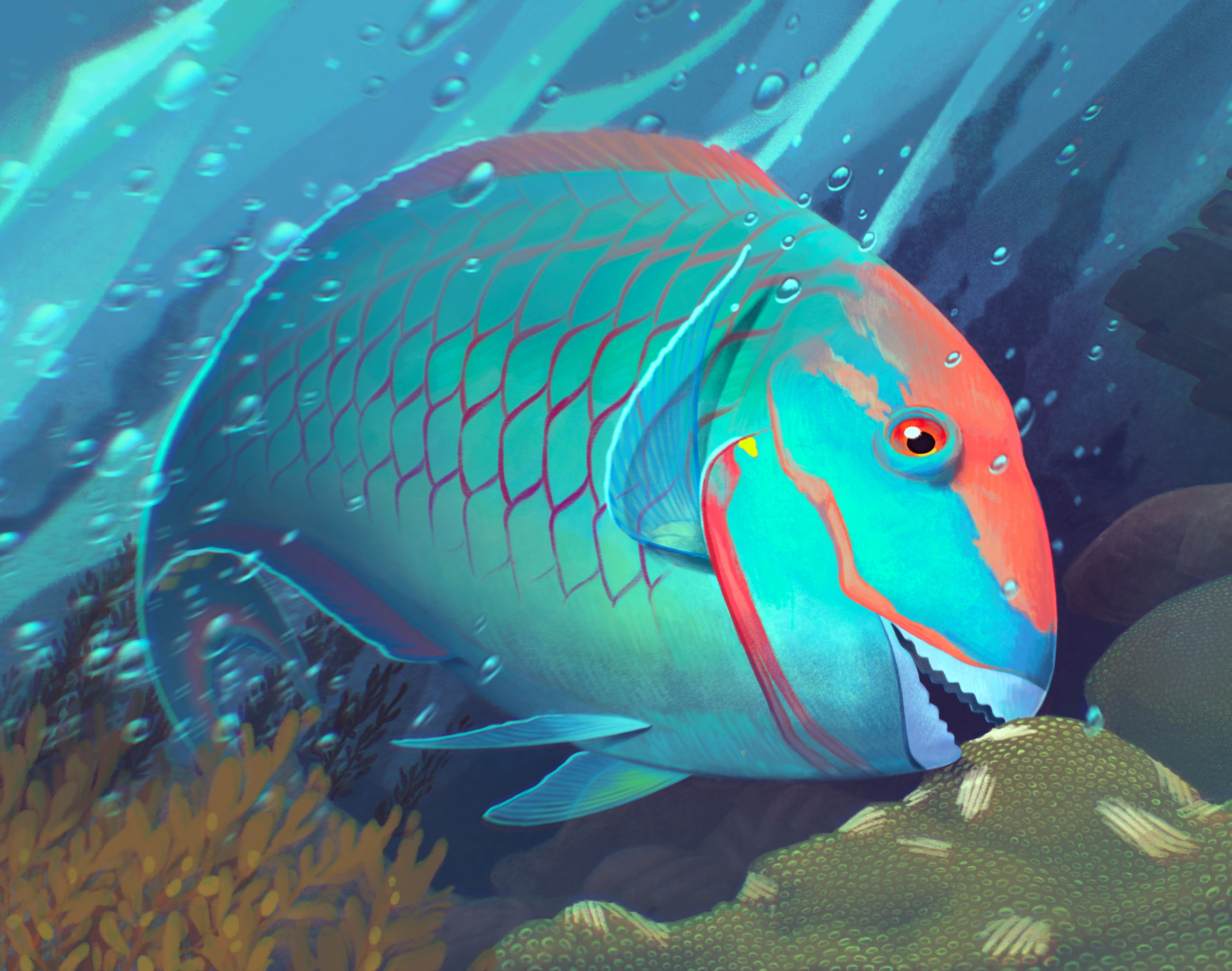 Digital art of a parrotfish eating coral