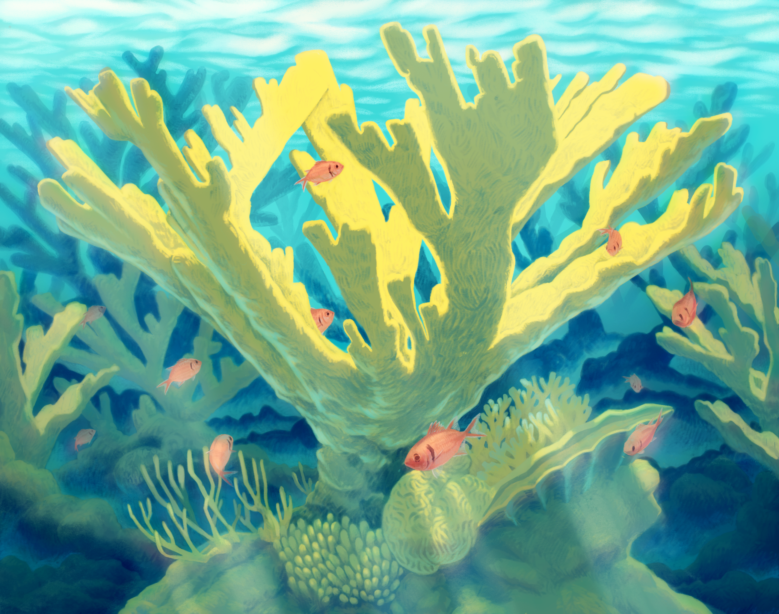 Digital art of a branching Staghorn Coral in tropical waters