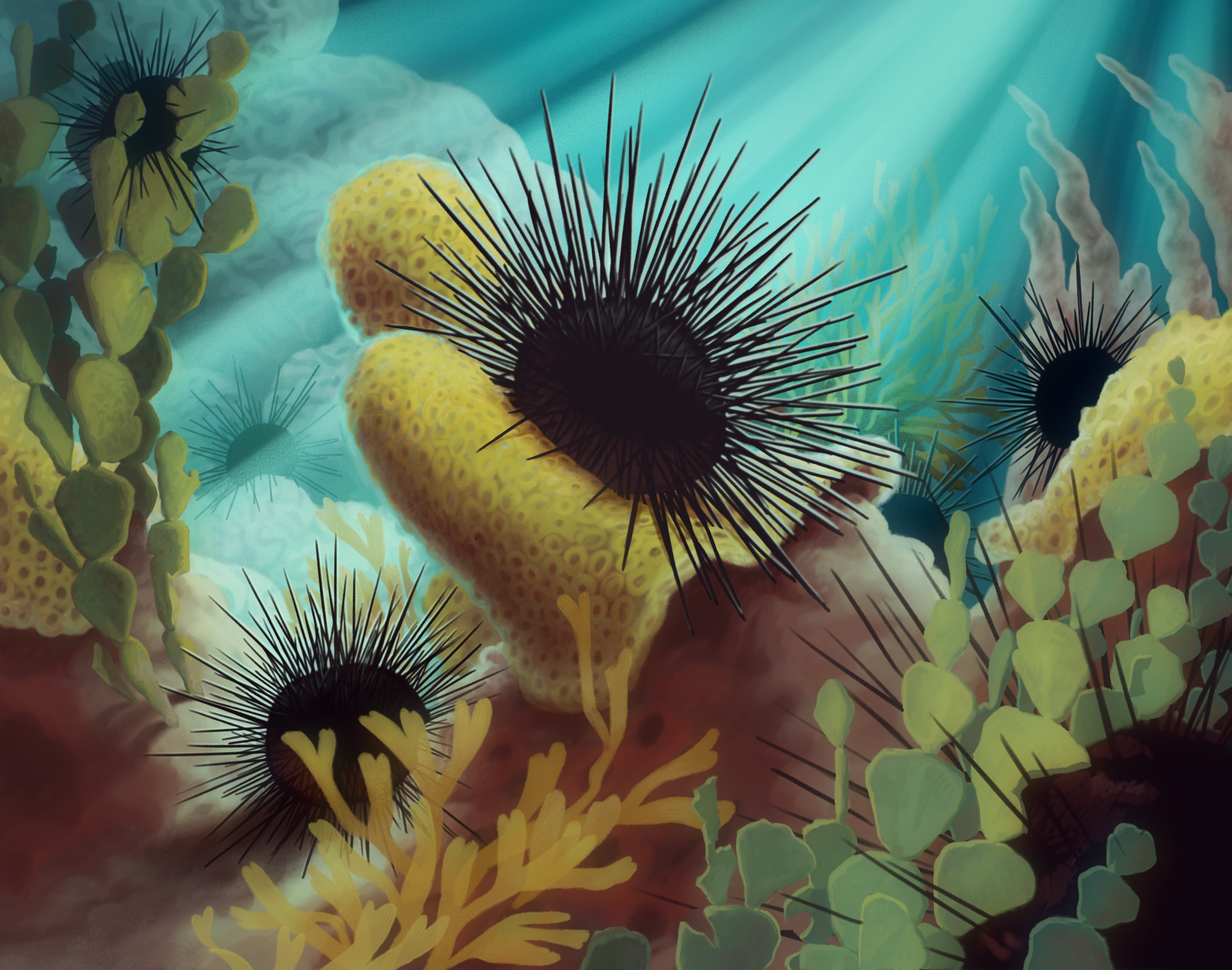 Image of a Diadema urchin eating algae. It sits on top of a rocky outcropping while filtered sunlight surrounds it. Below, a mob of its fellow urchins devour seaweed.